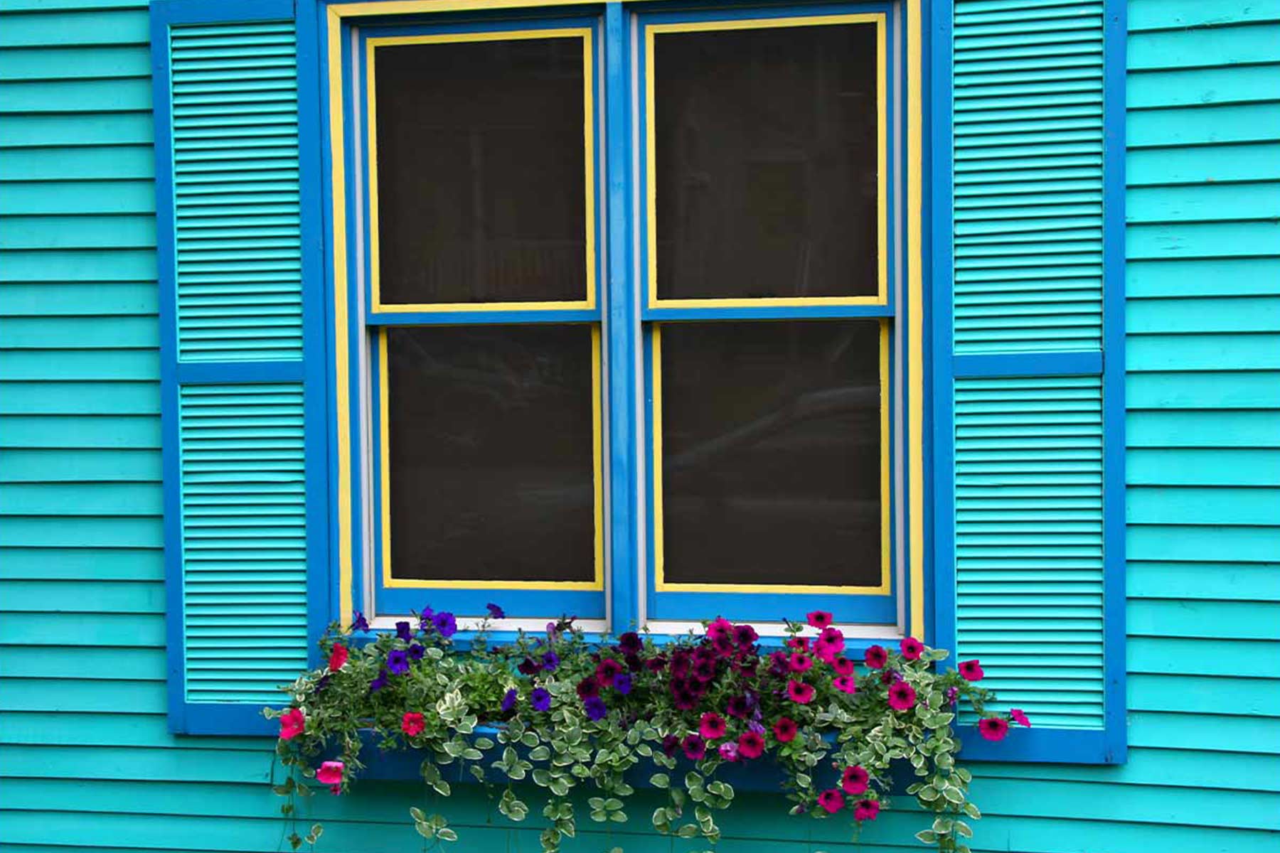 tinted windows on blue house hillsbourogh fort mill sc